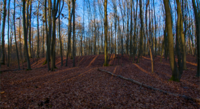 Foto des Albums: Kurzvorstellung Slawenburg Ruhner Berge