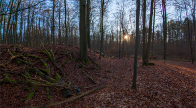 Foto des Albums: Kurzvorstellung Slawenburg Ruhner Berge