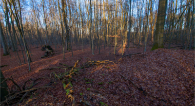 Foto des Albums: Kurzvorstellung Slawenburg Ruhner Berge
