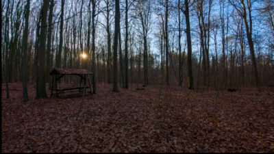 Foto des Albums: Kurzvorstellung Slawenburg Ruhner Berge