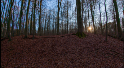 Foto des Albums: Kurzvorstellung Slawenburg Ruhner Berge
