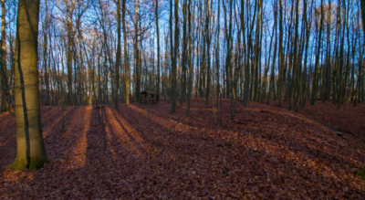 Foto des Albums: Kurzvorstellung Slawenburg Ruhner Berge