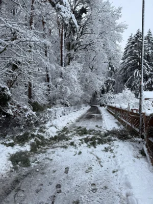 2026-01-03 TH - div wetterbedingte Eins&auml;tze 8 