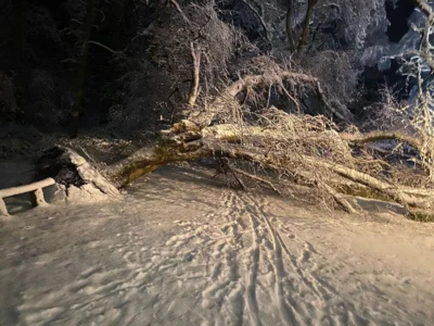 2026-01-03 TH - div wetterbedingte Eins&auml;tze 17 