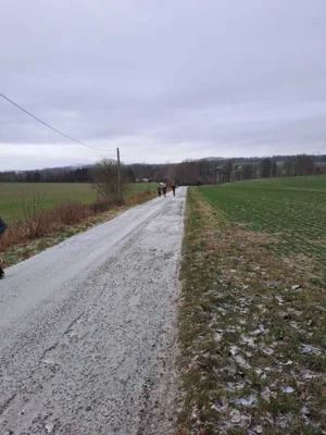 Foto des Albums: Silvesterlauf 2025