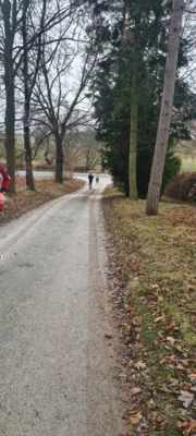 Foto des Albums: Silvesterlauf 2025