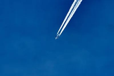 Nur fliegen ist sch&ouml;ner....  (Bild vergr&ouml;&szlig;ern)