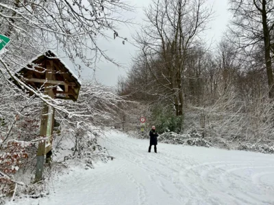 Foto des Albums: Eisig und glatt
