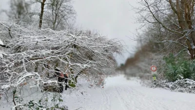 Foto des Albums: Eisig und glatt
