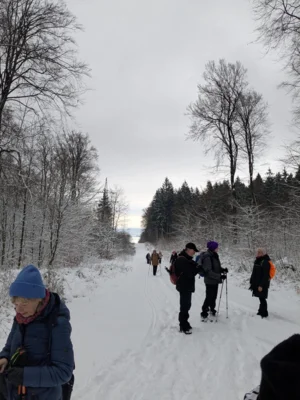 Foto des Albums: Eisig und glatt