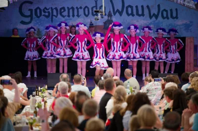Foto des Albums: Kinderfasching des GCV 2025