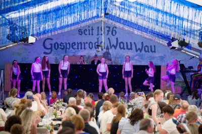 Foto des Albums: Kinderfasching des GCV 2025