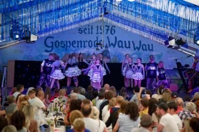 Foto des Albums: Kinderfasching des GCV 2025