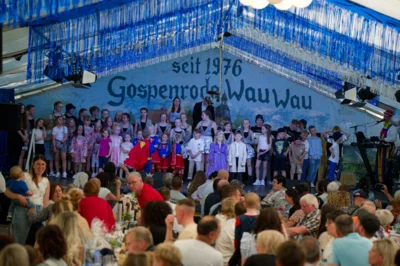 Foto des Albums: Kinderfasching des GCV 2025