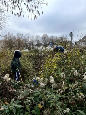 Foto des Albums: Adventssammeln mit CleanUp Hürth