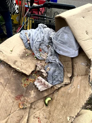 Foto des Albums: Adventssammeln mit CleanUp Hürth