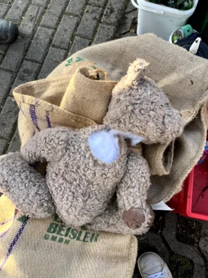 Foto des Albums: Adventssammeln mit CleanUp Hürth