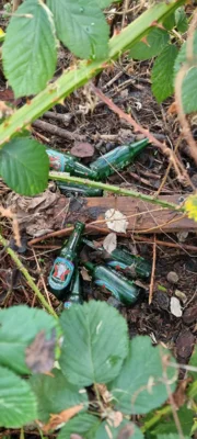 Foto des Albums: Adventssammeln mit CleanUp Hürth