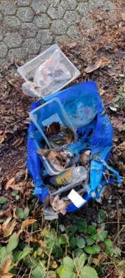 Foto des Albums: Adventssammeln mit CleanUp Hürth