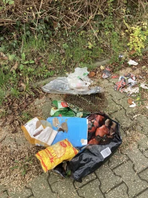 Foto des Albums: Adventssammeln mit CleanUp Hürth