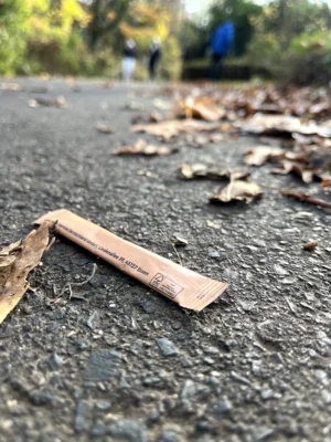 Foto des Albums: Schwarzer Weg mit CleanUp Hürth
