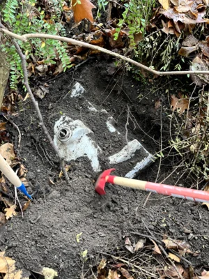 Foto des Albums: Schwarzer Weg mit CleanUp Hürth