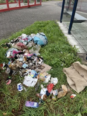 Foto des Albums: World CleanUp Day 2025