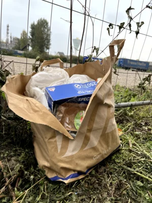 Foto des Albums: CleanUp Hürth in Knapsack