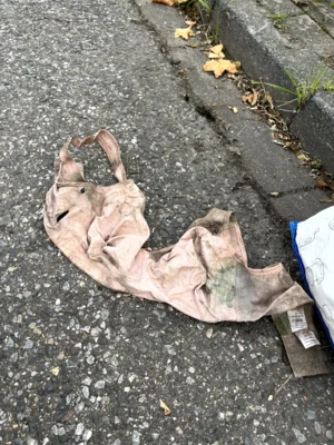Foto des Albums: CleanUp Hürth in Knapsack