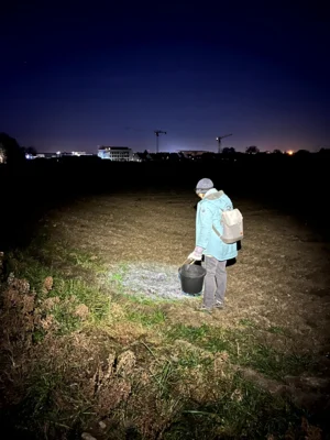 Foto des Albums: CleanUp im Dunklen