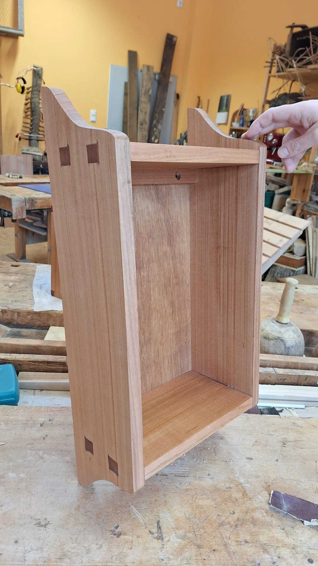 Bild der Galerie