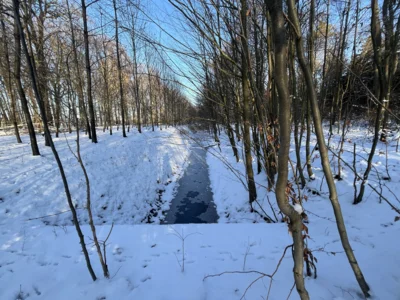 Graben  (Bild vergr&ouml;&szlig;ern)