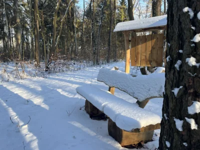 Foto des Albums: Winter 2026