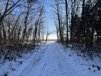 Foto des Albums: Winter 2026