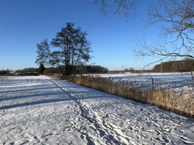 Blick zum Park  (Bild vergr&ouml;&szlig;ern)