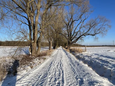 Weg zum Pusch  (Bild vergr&ouml;&szlig;ern)