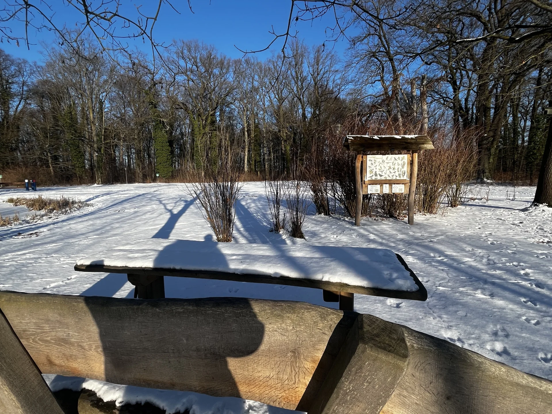 Bild: Festfläche im Schnee