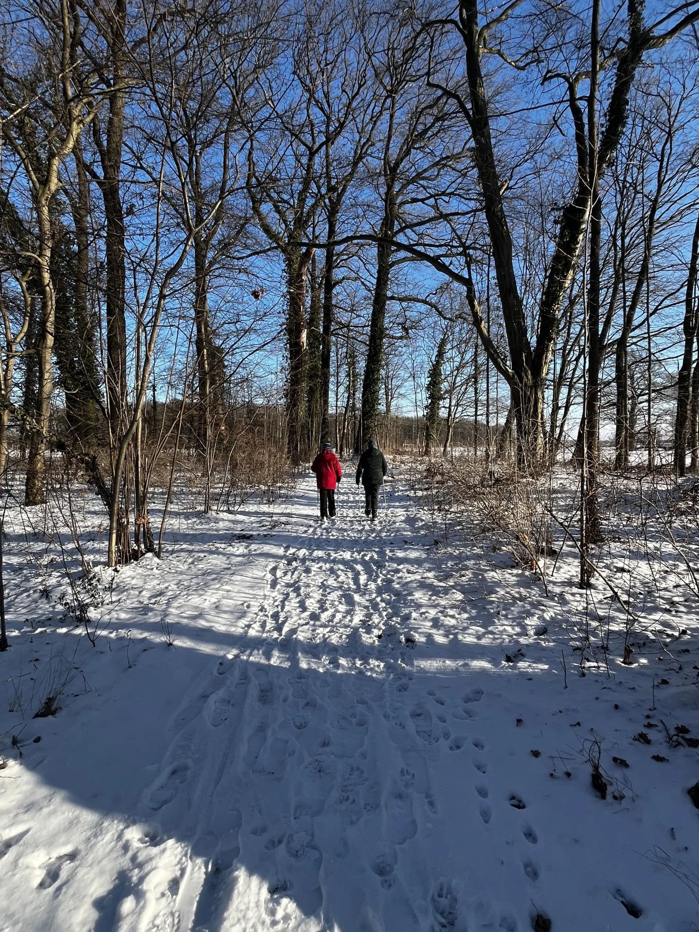 Bild: Parkspaziergang