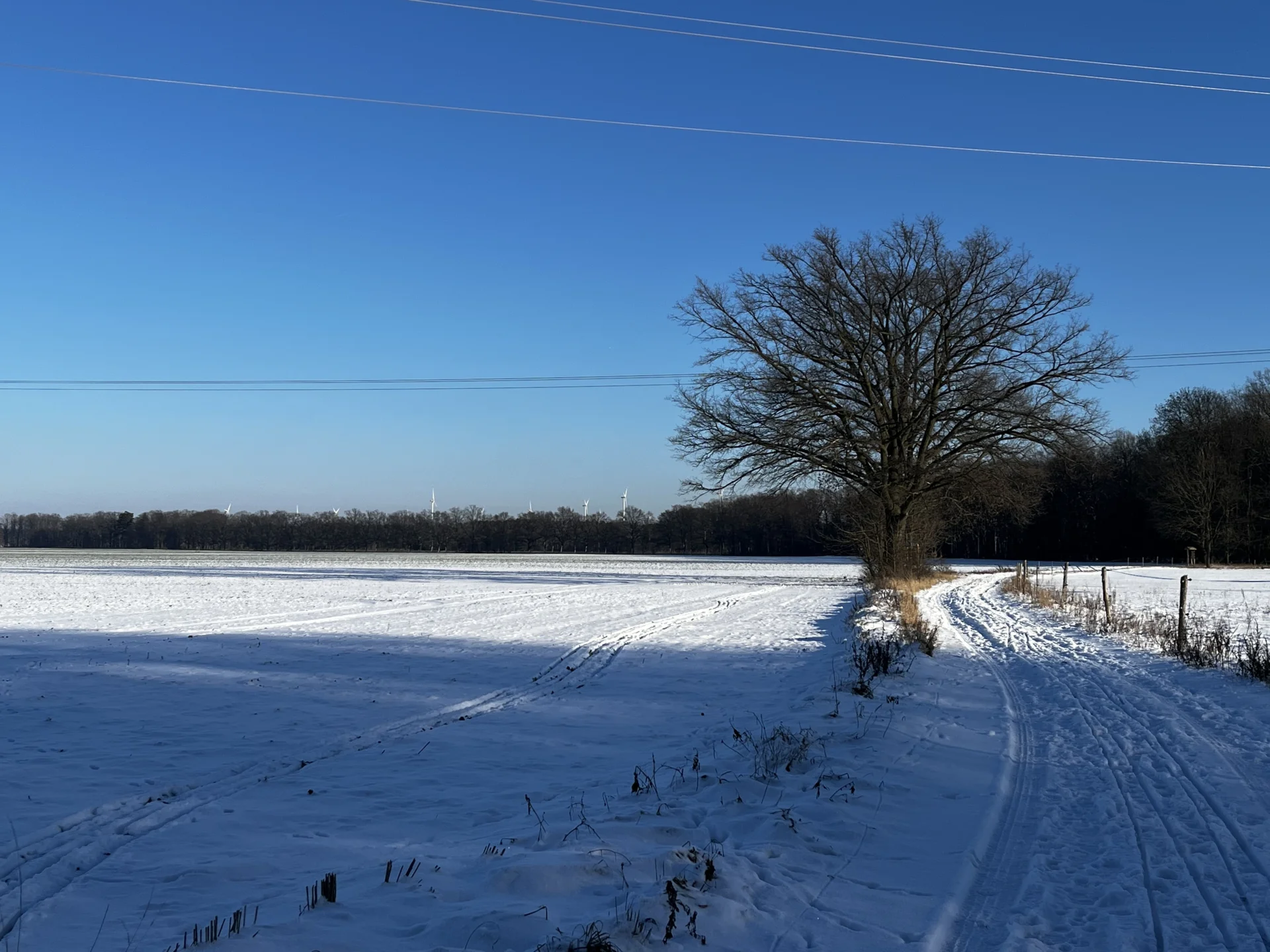 Bild: Weg zum Pusch