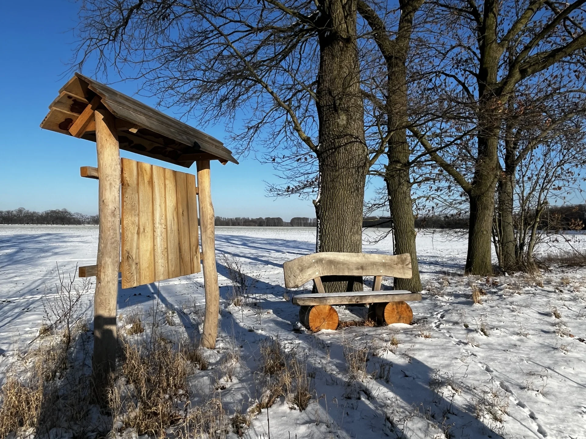Bild: Winterruhe am Naturlehrpfad