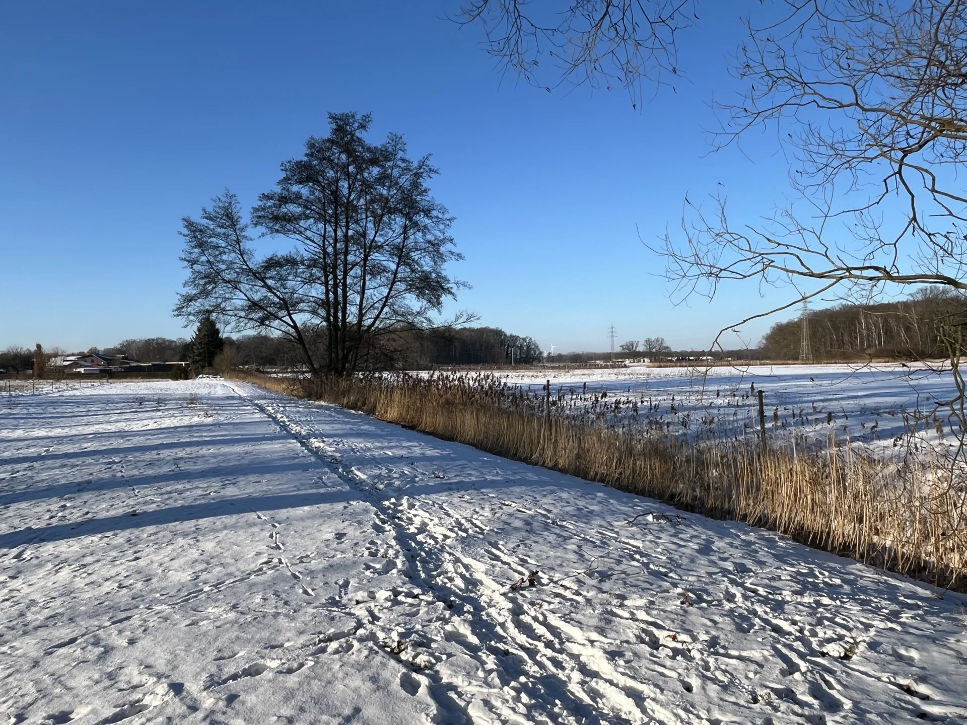 Bild: Blick zum Park