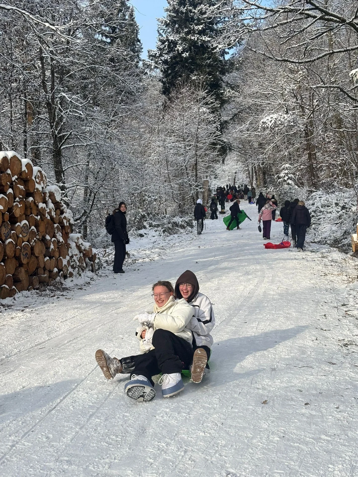Bild der Galerie