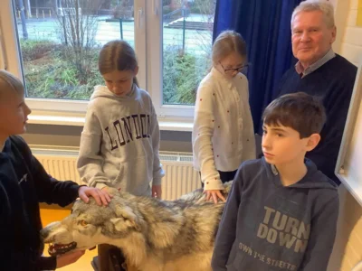 Foto des Albums: Der Wolf ist zurück – und wir wissen jetzt Bescheid!