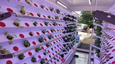 Foto des Albums: Indoorfarm-Container