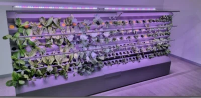 Foto des Albums: Indoorfarm-Container