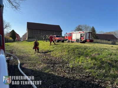 Foto des Albums: 25.03.28, Flächenbrand, Kutzleben
