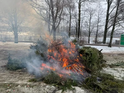 Foto des Albums: Weihnachtsbäume 2026 (10.​01.​2026)