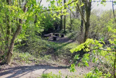 Foto des Albums: Heimatverein Rinkerode hat Schutzhütte renoviert