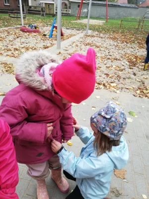 Foto des Albums: Rückblick November/Dezember Große Füchse 2025 (14.​01.​2026)