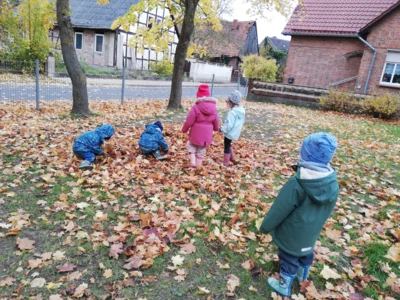 Foto des Albums: Rückblick November/Dezember Große Füchse 2025 (14.​01.​2026)